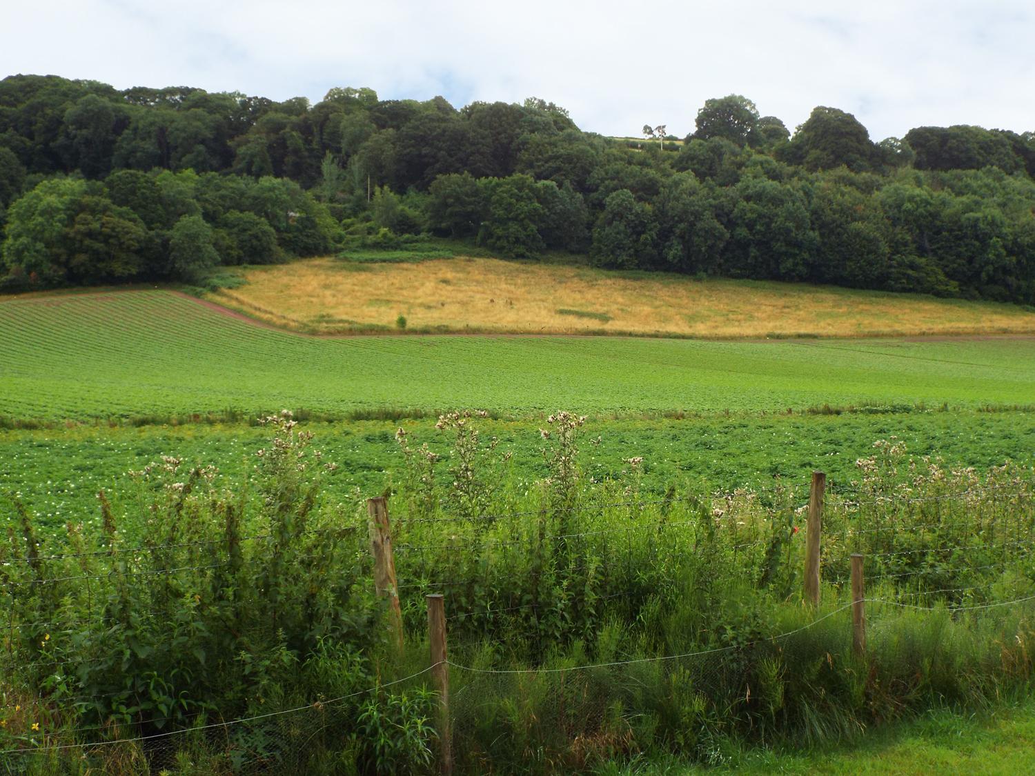 Villa The Granary Ross-on-Wye Esterno foto
